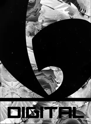 Bassivity Digital